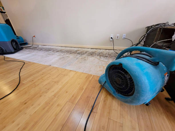 Professional Burst Pipe Water Damage technician working in Crab Orchard, WV